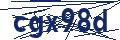 Captcha code required for form validation